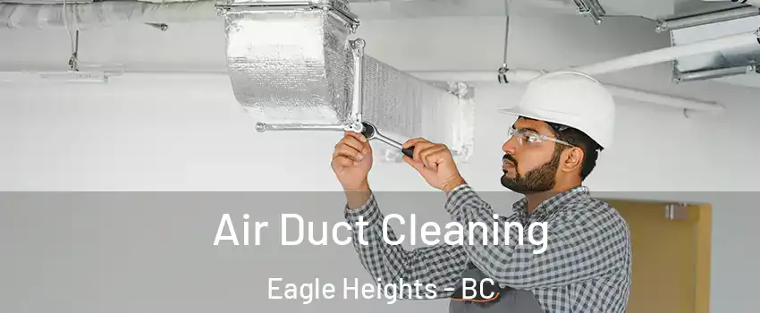 Air Duct Cleaning Eagle Heights - BC