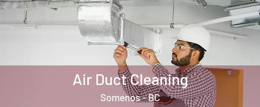  Air Duct Cleaning Somenos - BC
