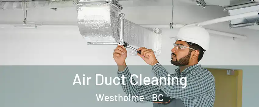  Air Duct Cleaning Westholme - BC