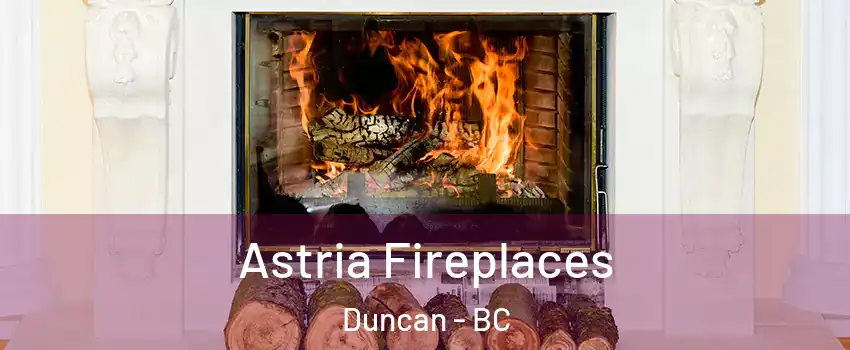  Astria Fireplaces Duncan - BC