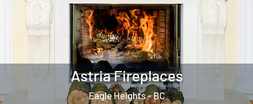  Astria Fireplaces Eagle Heights - BC