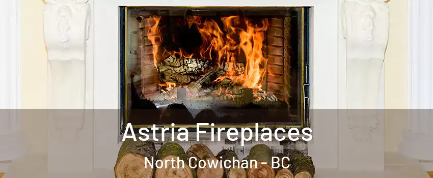  Astria Fireplaces North Cowichan - BC