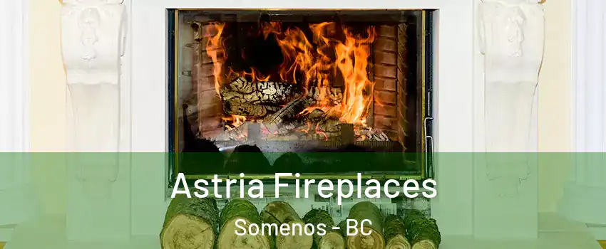  Astria Fireplaces Somenos - BC