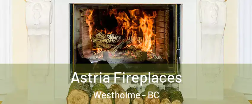 Astria Fireplaces Westholme - BC