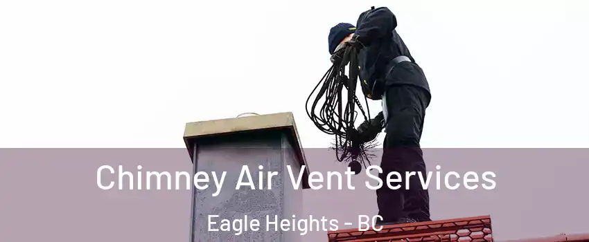  Chimney Air Vent Services Eagle Heights - BC