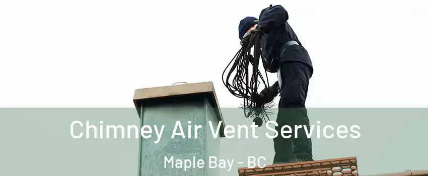  Chimney Air Vent Services Maple Bay - BC