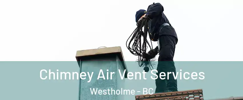  Chimney Air Vent Services Westholme - BC