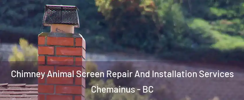  Chimney Animal Screen Repair And Installation Services Chemainus - BC