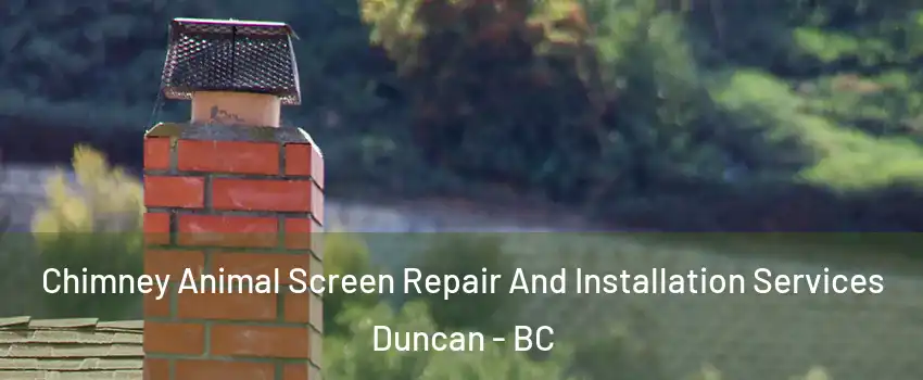  Chimney Animal Screen Repair And Installation Services Duncan - BC