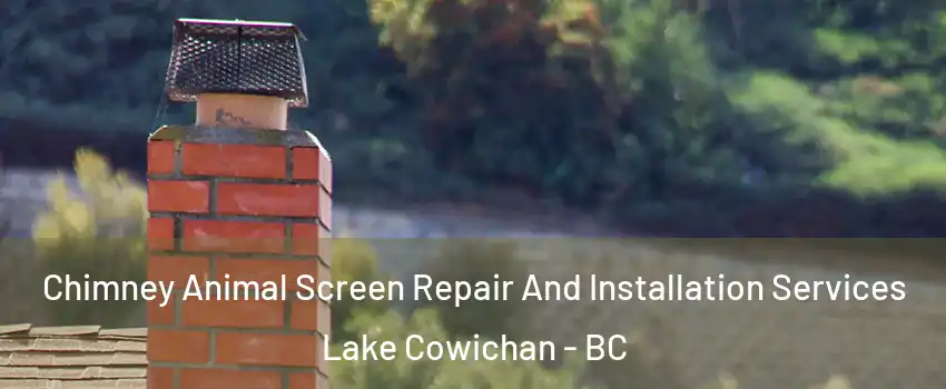  Chimney Animal Screen Repair And Installation Services Lake Cowichan - BC