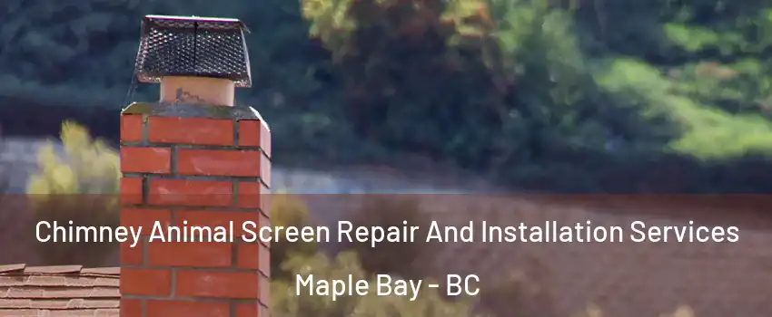  Chimney Animal Screen Repair And Installation Services Maple Bay - BC