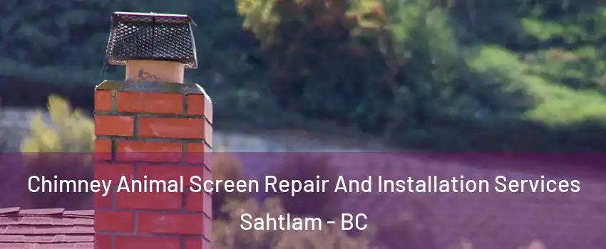  Chimney Animal Screen Repair And Installation Services Sahtlam - BC