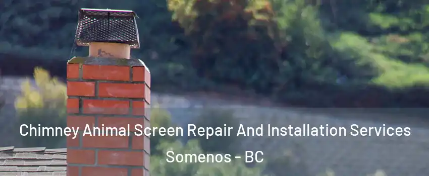  Chimney Animal Screen Repair And Installation Services Somenos - BC