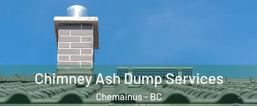  Chimney Ash Dump Services Chemainus - BC
