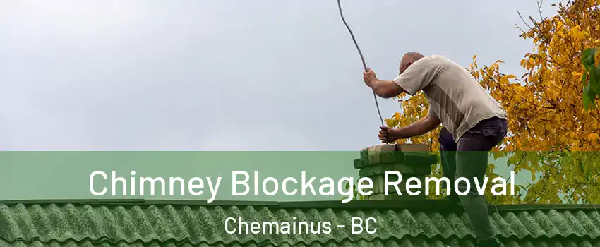  Chimney Blockage Removal Chemainus - BC