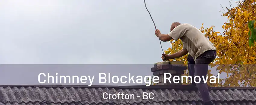  Chimney Blockage Removal Crofton - BC