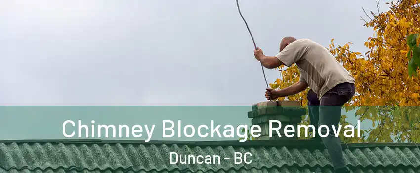  Chimney Blockage Removal Duncan - BC