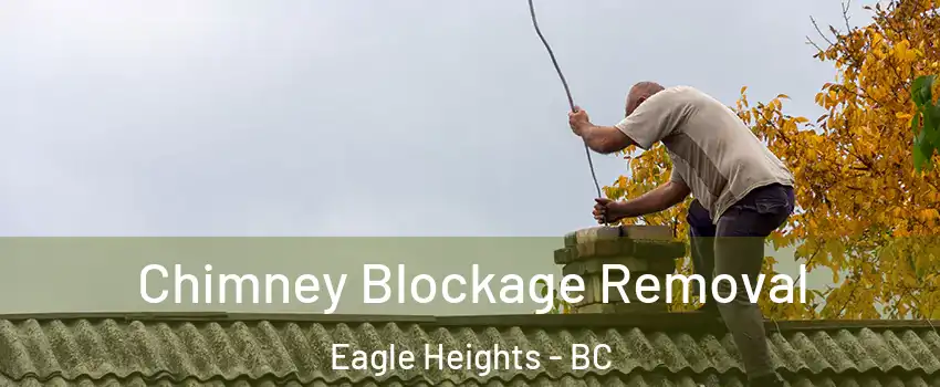  Chimney Blockage Removal Eagle Heights - BC