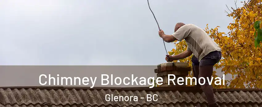 Chimney Blockage Removal Glenora - BC