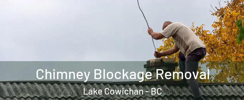  Chimney Blockage Removal Lake Cowichan - BC