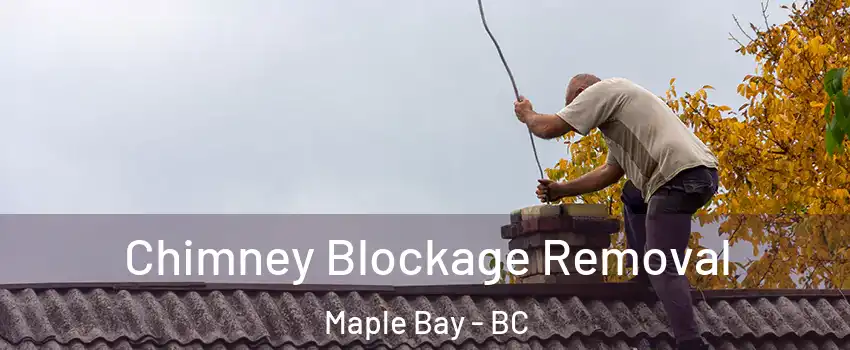  Chimney Blockage Removal Maple Bay - BC