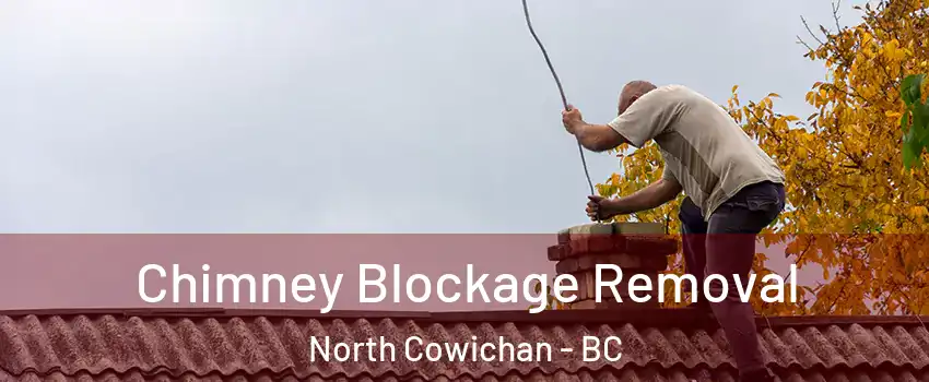  Chimney Blockage Removal North Cowichan - BC