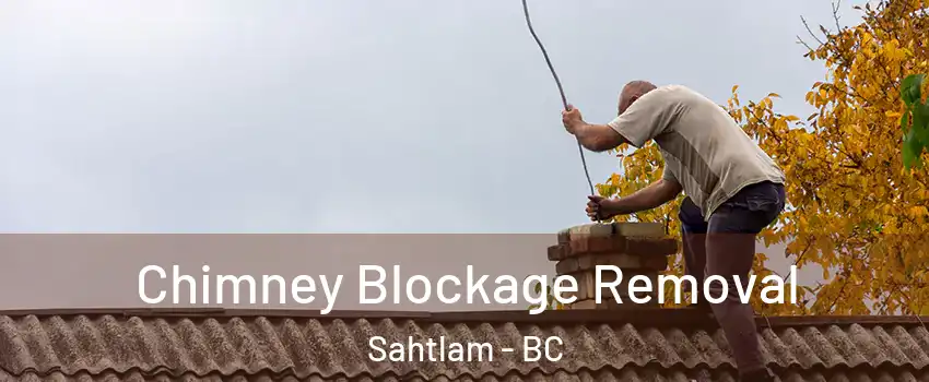  Chimney Blockage Removal Sahtlam - BC