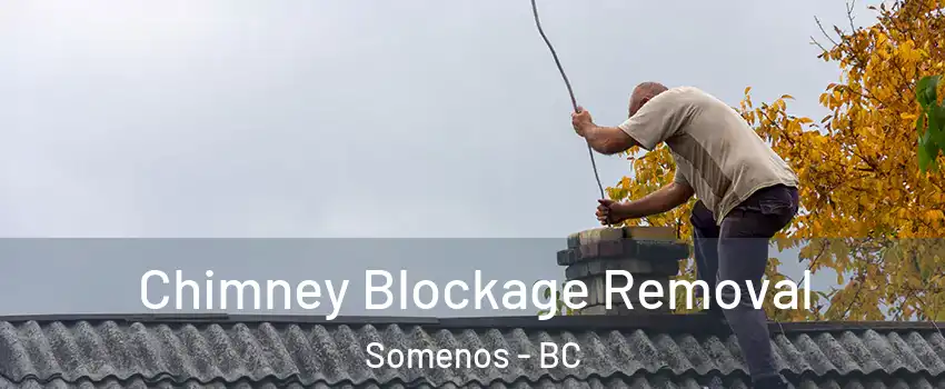  Chimney Blockage Removal Somenos - BC