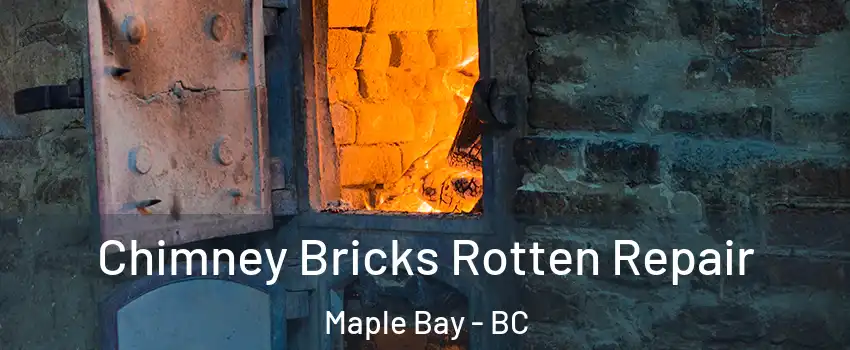  Chimney Bricks Rotten Repair Maple Bay - BC
