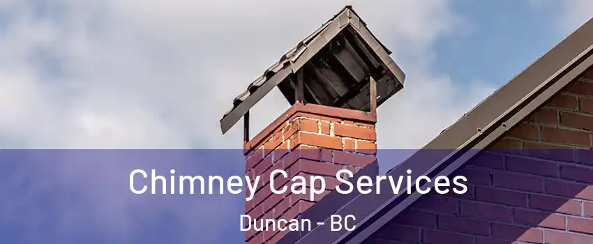  Chimney Cap Services Duncan - BC