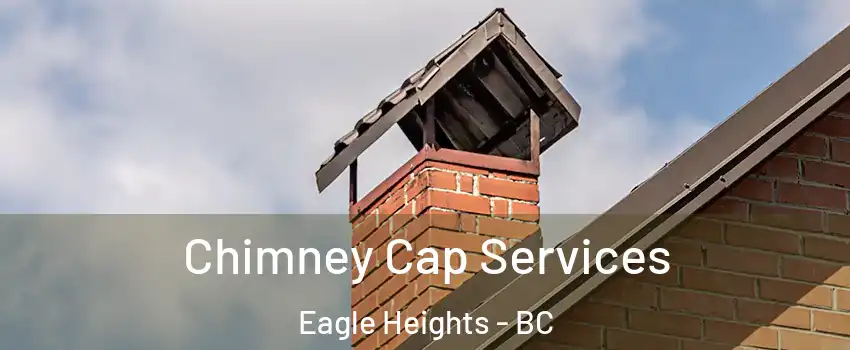  Chimney Cap Services Eagle Heights - BC