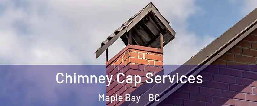  Chimney Cap Services Maple Bay - BC