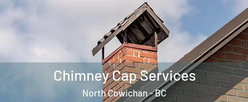  Chimney Cap Services North Cowichan - BC