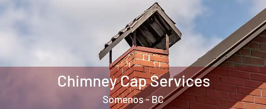  Chimney Cap Services Somenos - BC