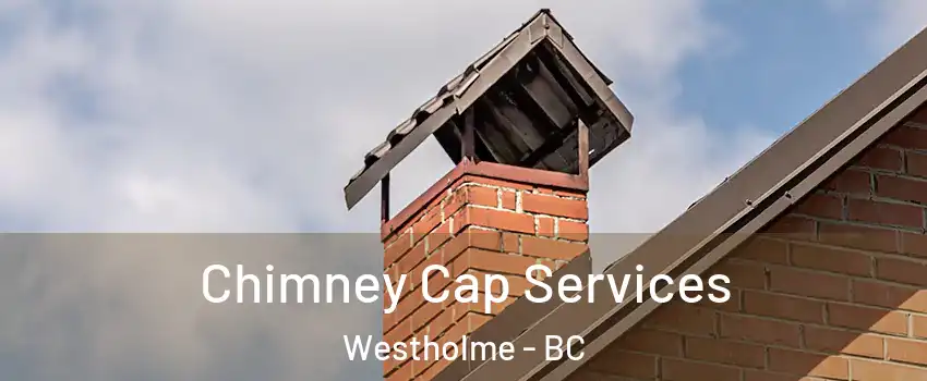  Chimney Cap Services Westholme - BC