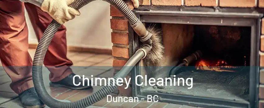  Chimney Cleaning Duncan - BC