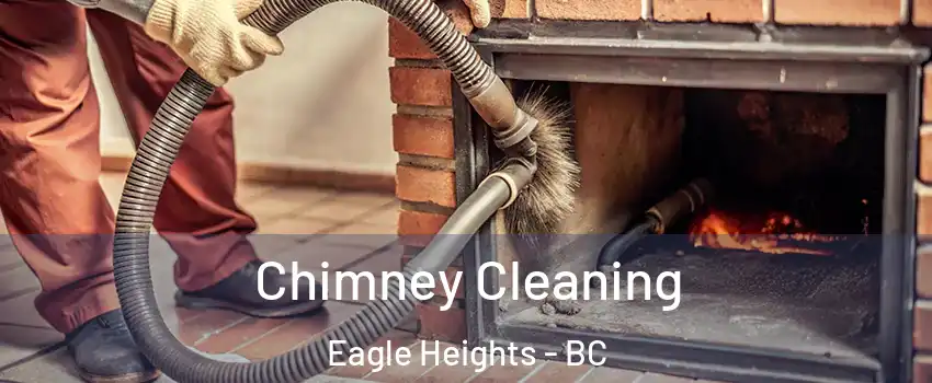  Chimney Cleaning Eagle Heights - BC
