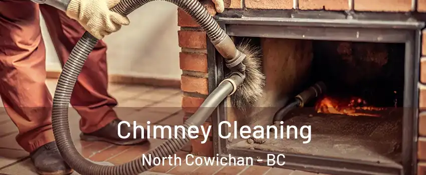  Chimney Cleaning North Cowichan - BC