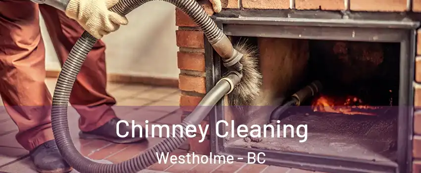  Chimney Cleaning Westholme - BC