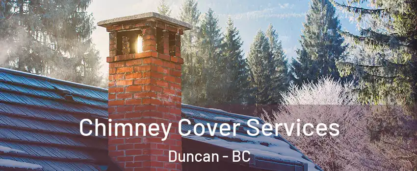  Chimney Cover Services Duncan - BC
