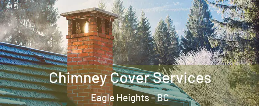  Chimney Cover Services Eagle Heights - BC