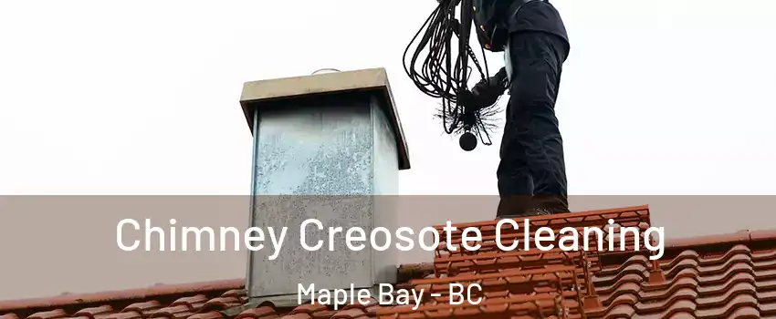  Chimney Creosote Cleaning Maple Bay - BC