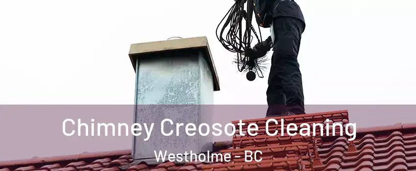  Chimney Creosote Cleaning Westholme - BC