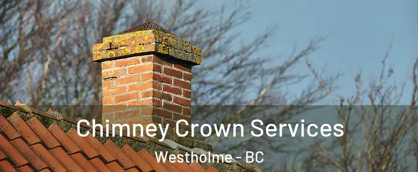  Chimney Crown Services Westholme - BC