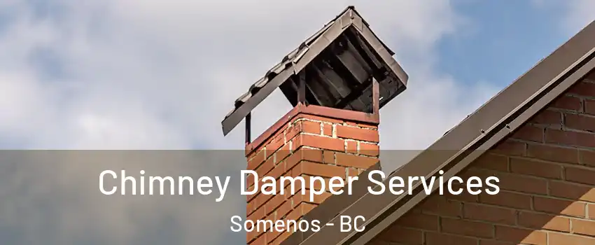  Chimney Damper Services Somenos - BC