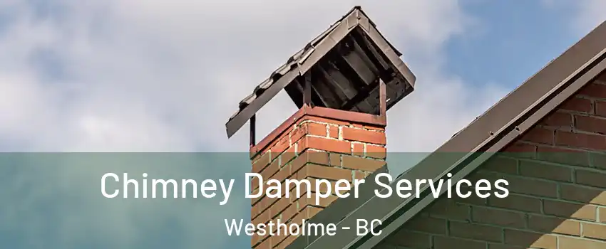  Chimney Damper Services Westholme - BC