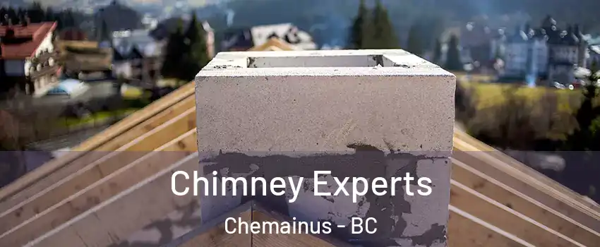 Chimney Experts Chemainus - BC