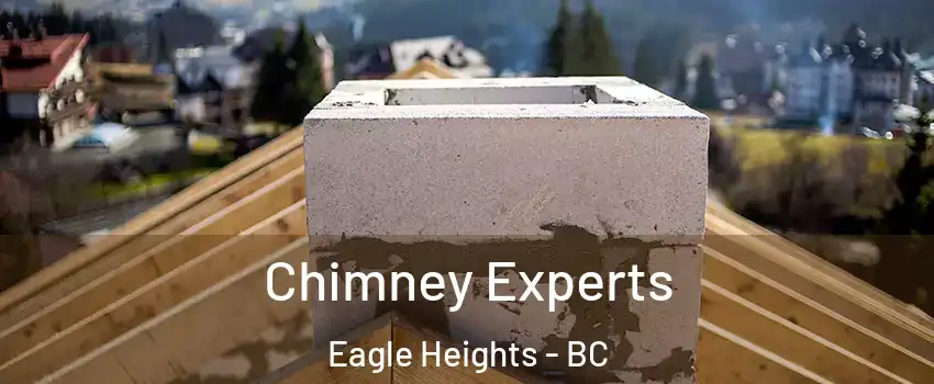 Chimney Experts Eagle Heights - BC