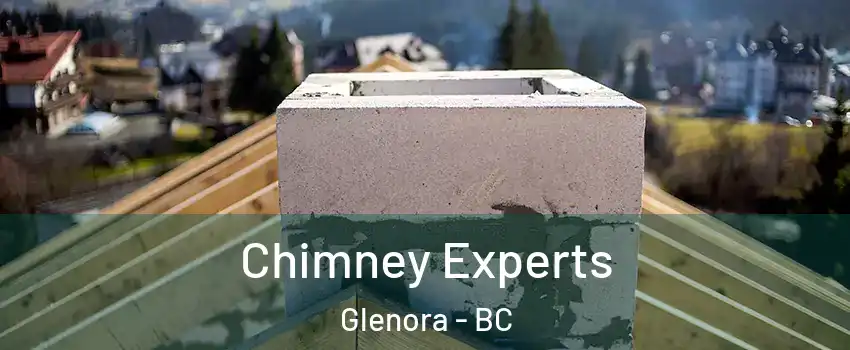 Chimney Experts Glenora - BC