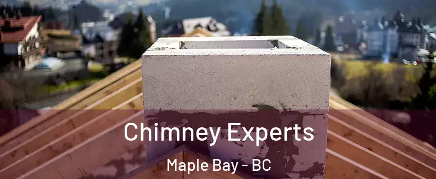 Chimney Experts Maple Bay - BC